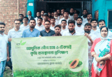 নাটোরে পেঁপে চাষের আধুনিক পদ্ধতি বিষয়ক প্রশিক্ষণ