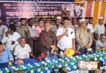 শহীদ জিয়ার স্বাধীনতা ঘোষণার মাধ্যমেই আমরা বাংলাদেশ নামক রাষ্ট্র পেয়েছি: দুলু