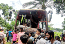 গরুবাহী ভুটভুটি-বাসের মুখোমুখি সংঘর্ষে নিহত ৩, আহত ৪